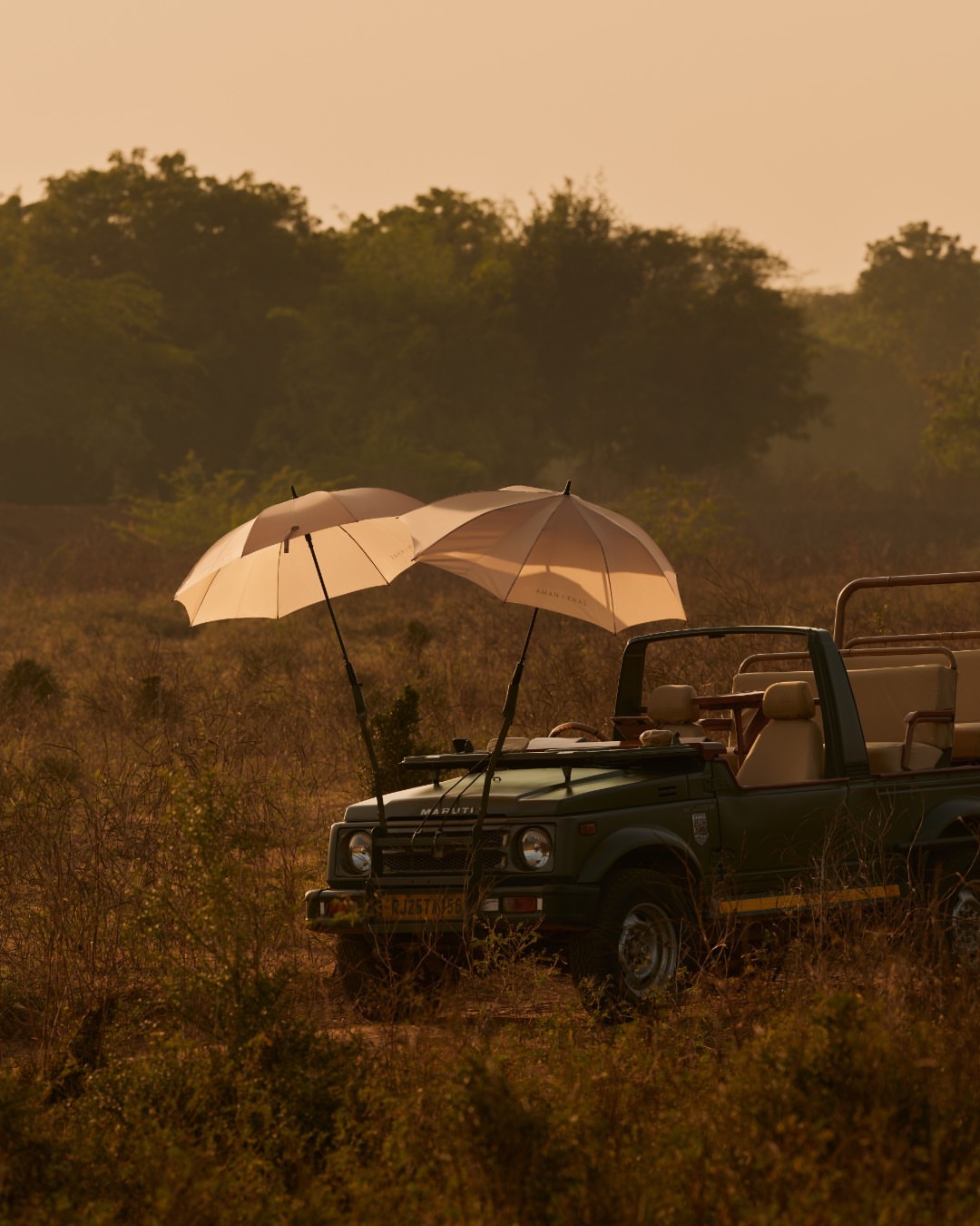 Traveling on a Budget