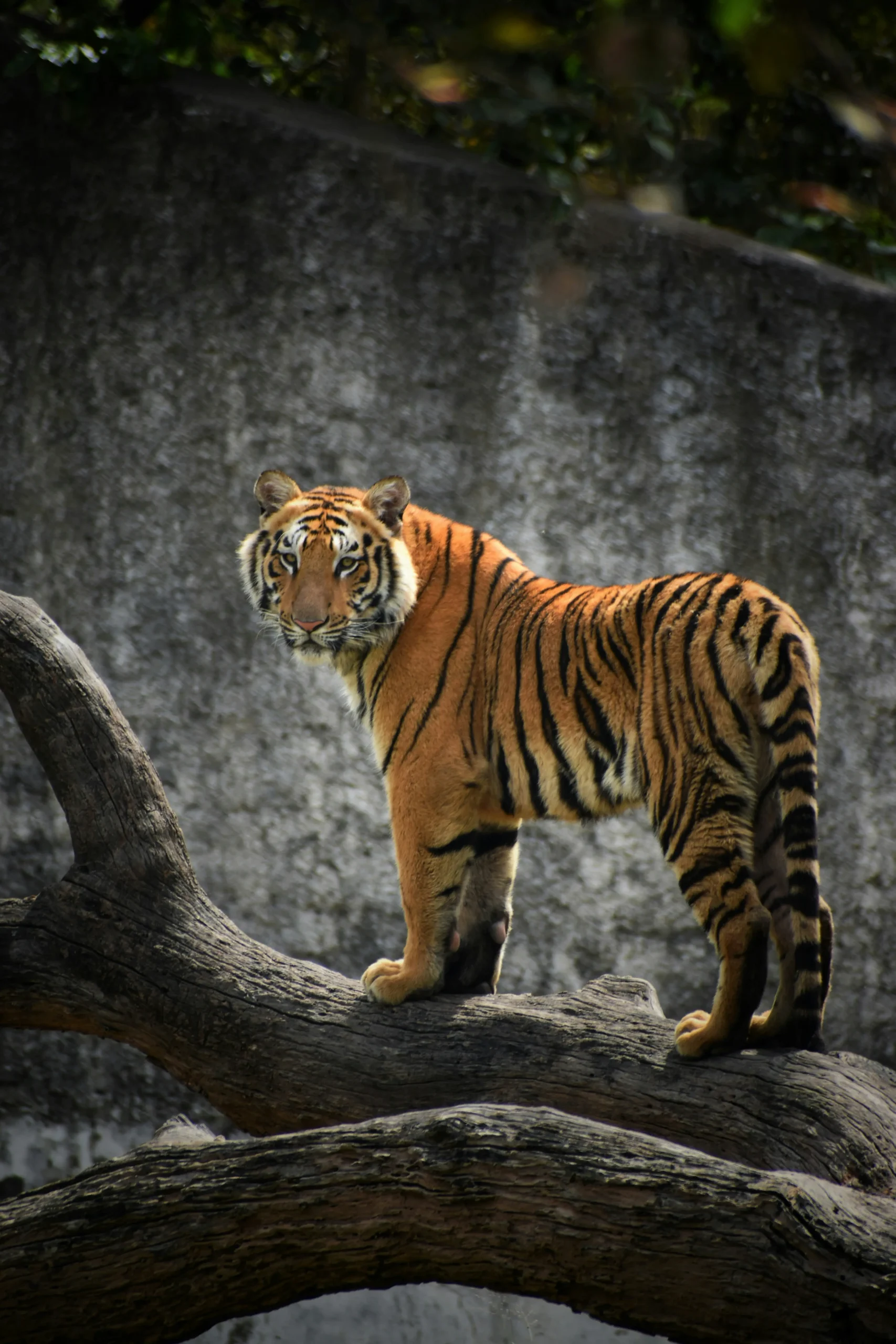 rishabh-pandoh–iZV3CqT7LM-unsplash
