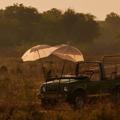 Traveling on a Budget