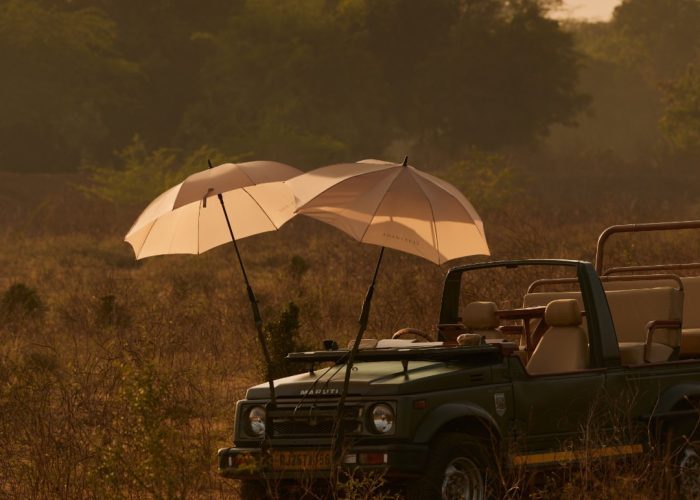 Traveling on a Budget